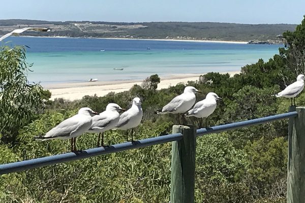 the-deck-rooms-with-a-view1